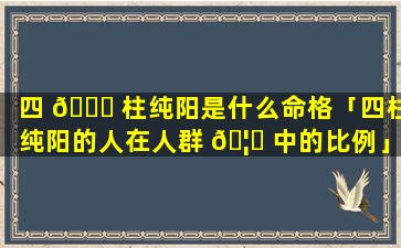 四 🐘 柱纯阳是什么命格「四柱纯阳的人在人群 🦈 中的比例」